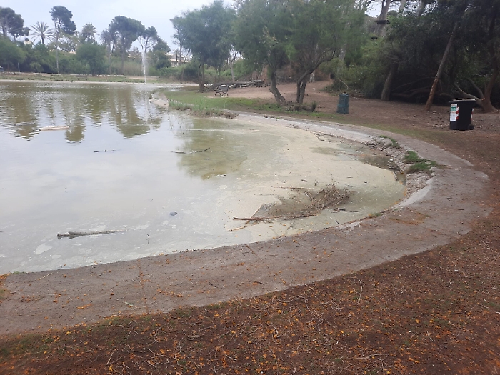 1620322965603_1620670001677