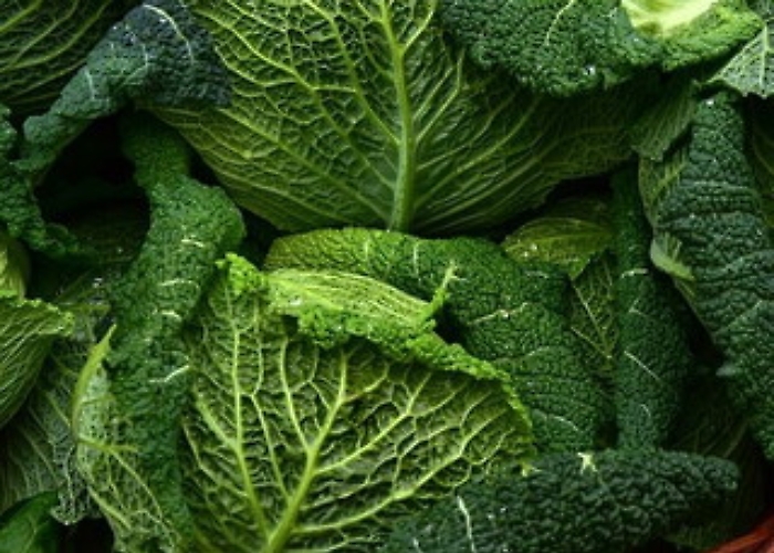 66604e1822100408ef3f4dc1dde872b1_1620663501380