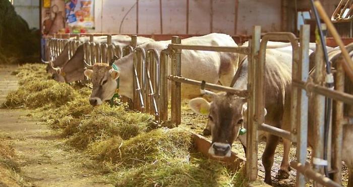 8b823f3561a11d12d60f630d16582b80_1620677132389