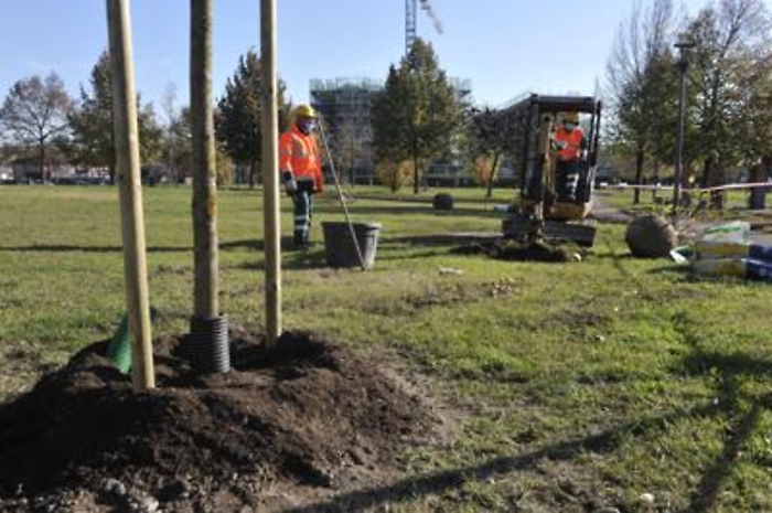 forestami_fg_1903_1620687709753