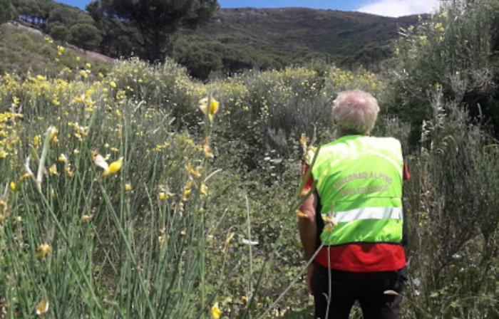 1617017408532_1620700425297