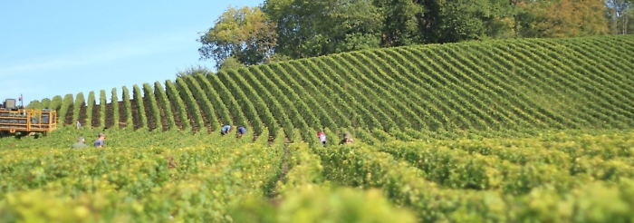 1618841475819_1620691658751