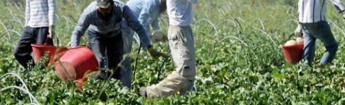 1618851302100_1618851313_1620691719726