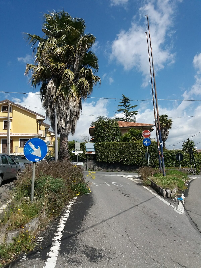 1618933172515_1620692002594