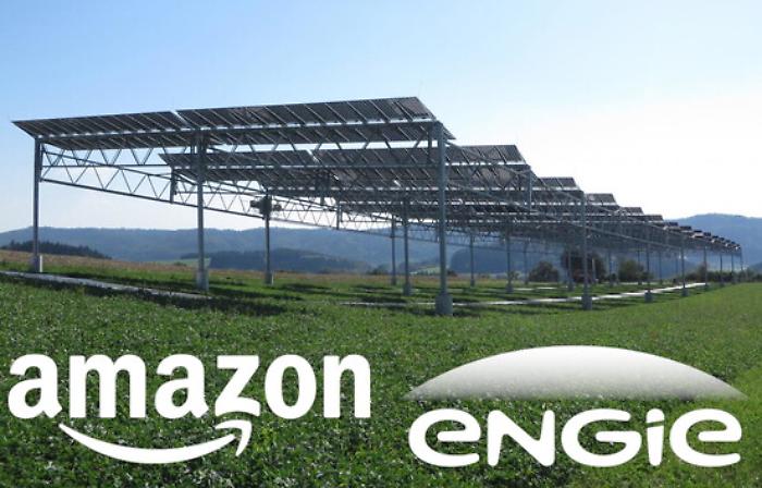 1619000054147_1620692224765