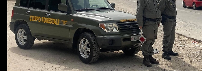 1619207113715_1619207126_1620693222436