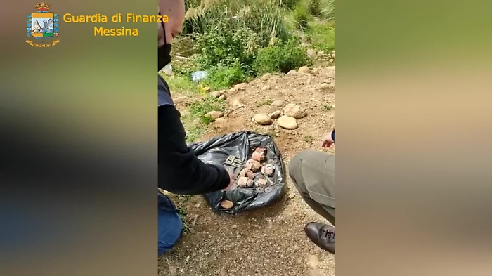 54af6b475dc925847ff5e01240a5ccab_1620739389758