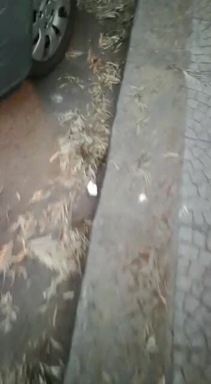 6552480-WhatsAppVideo2021-04-26at194137mp4_1620739239187