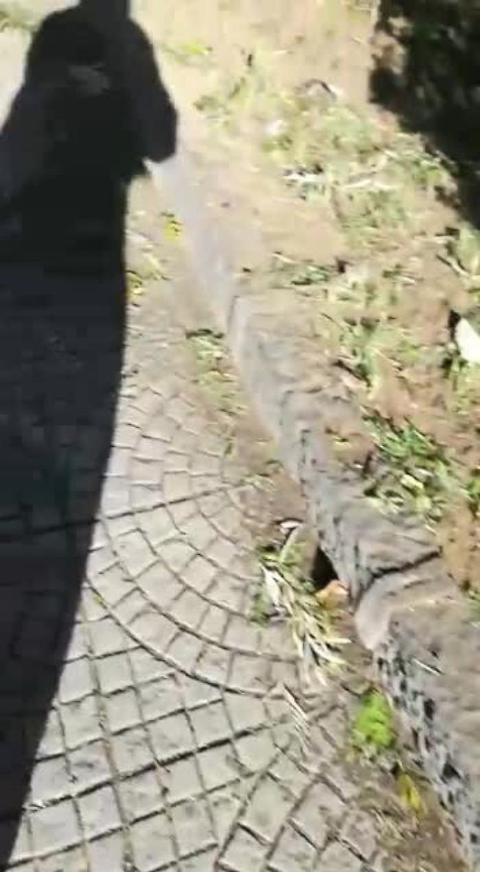 6663720-mendolamp4_1620740140523