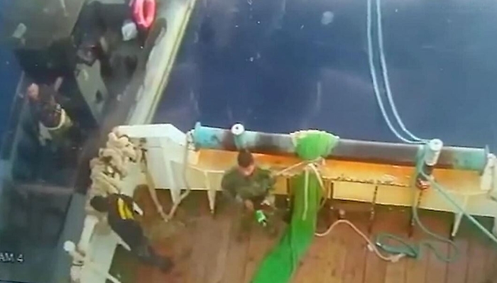 1620413257026_1623162228838