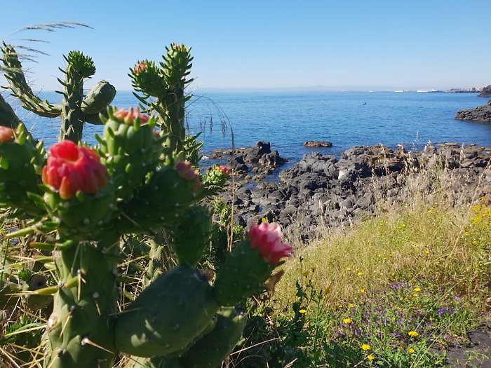 1620487506182_1623162452417