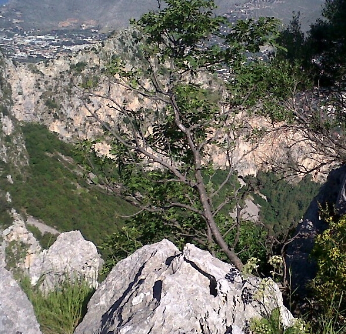 1620551961549_1620551976_1623162575236