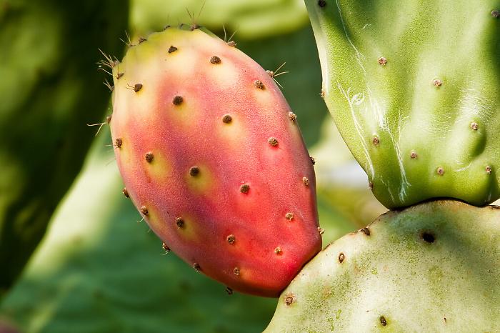 1620744240094_1623179503678