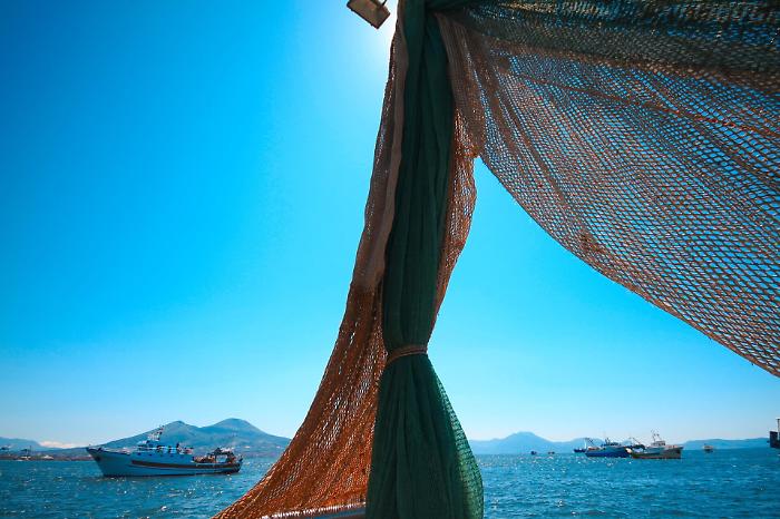 1620808090610_1623179729529