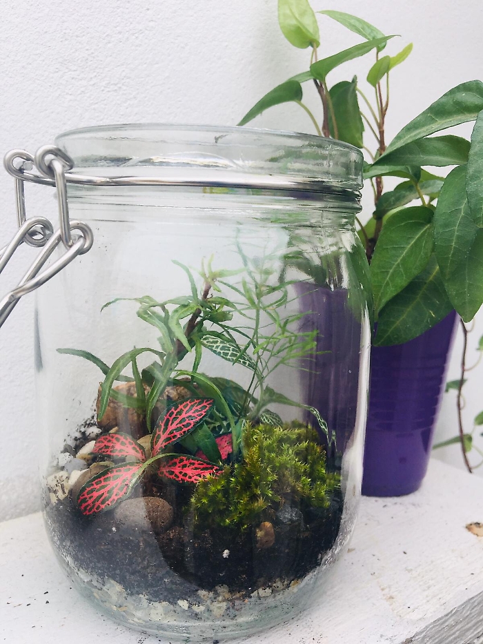 1620829000981_1623179961252