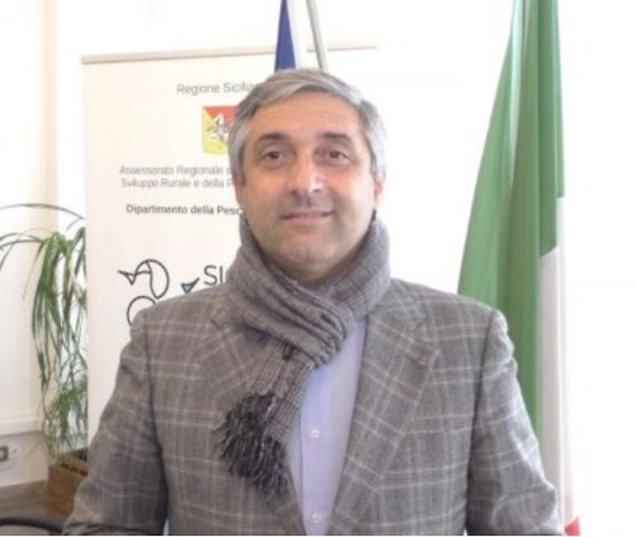 1621258114858_1623176385844