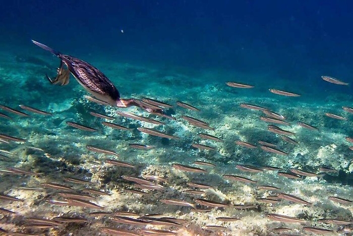 1621334184527_1623176713833