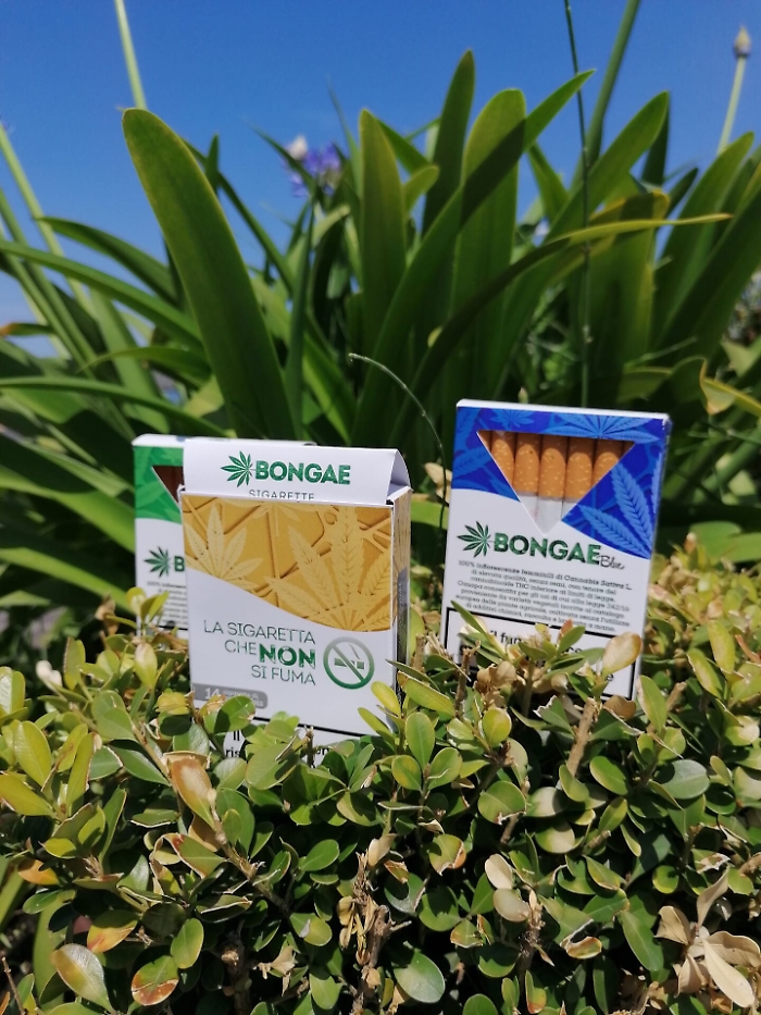 1621502667819_1623177396563