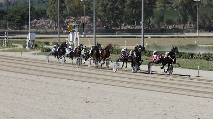 1621607050406_1623178102540