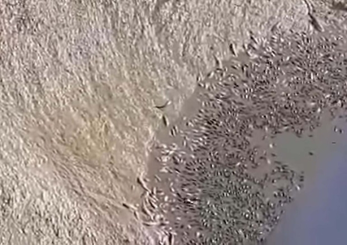 1621690877152_1623178534667