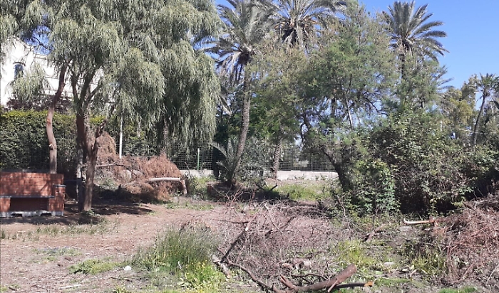 1621697951243_1623178548128