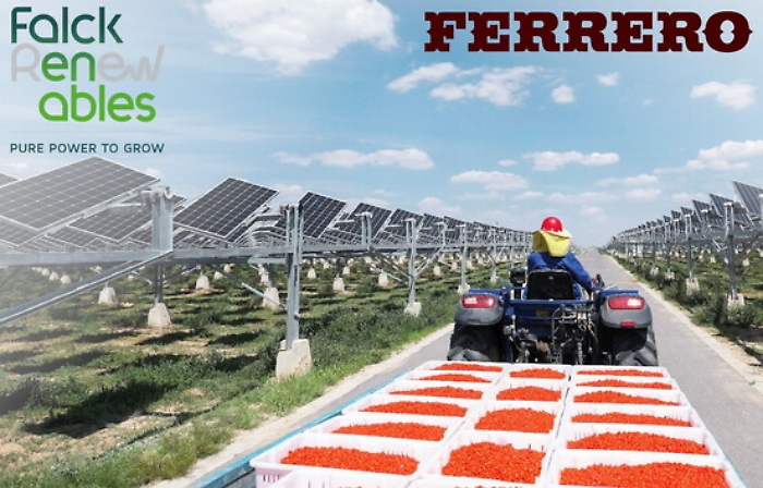 1621854555541_1623143729553