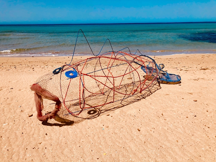 1622397281248_1623145630980