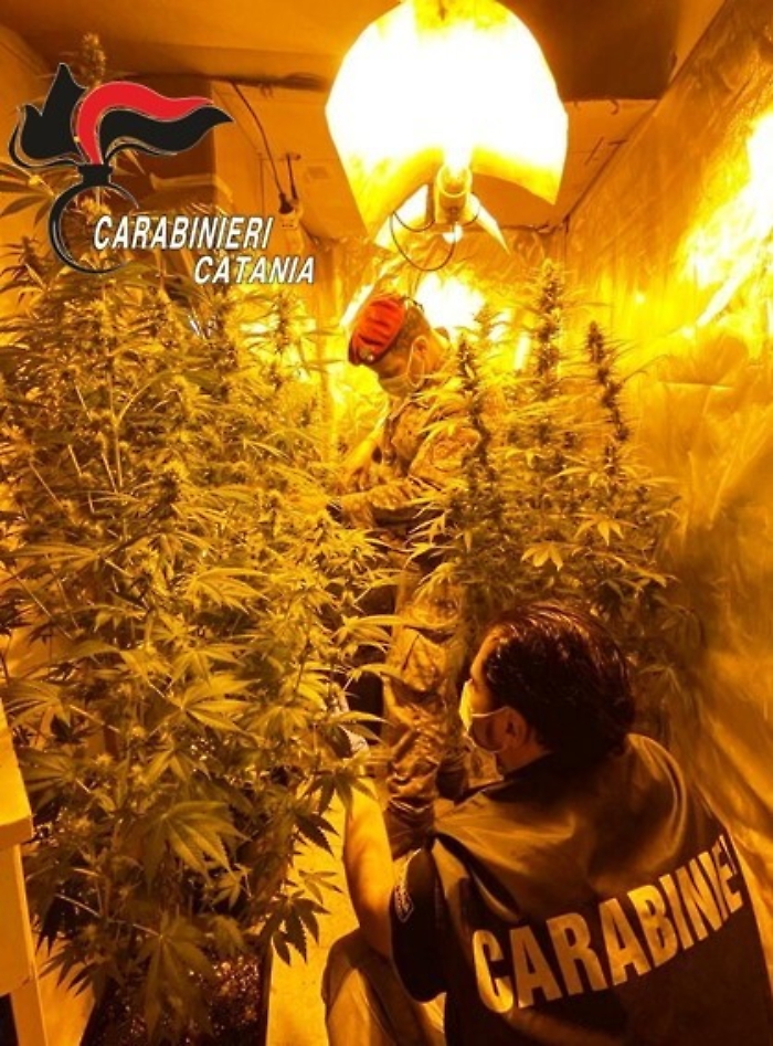 1622632082371_1623161672678