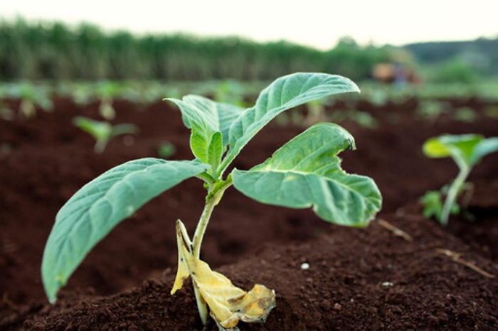 3b8769b9cc9251fadd24948bb32f27b8_1623167954571