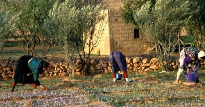 120805864-2b596869-6ddc-44ff-9369-750a51824645