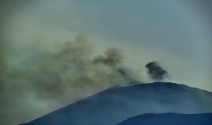 1622820425008_1623660462522