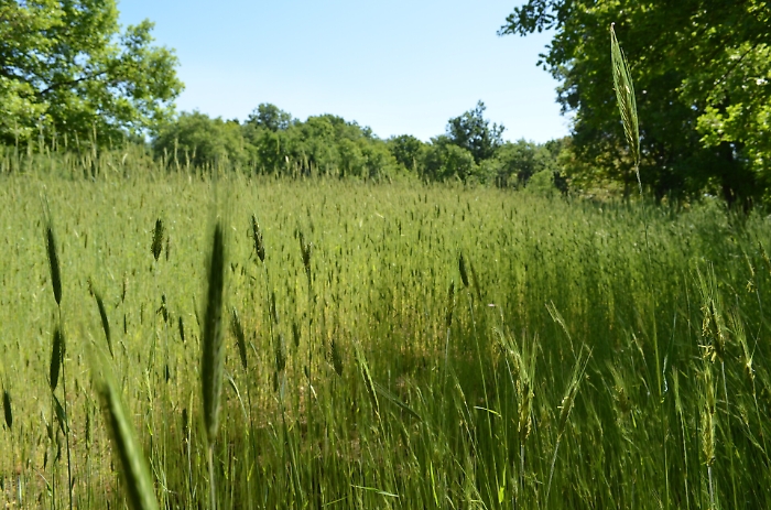 1623131026283_1623663875149