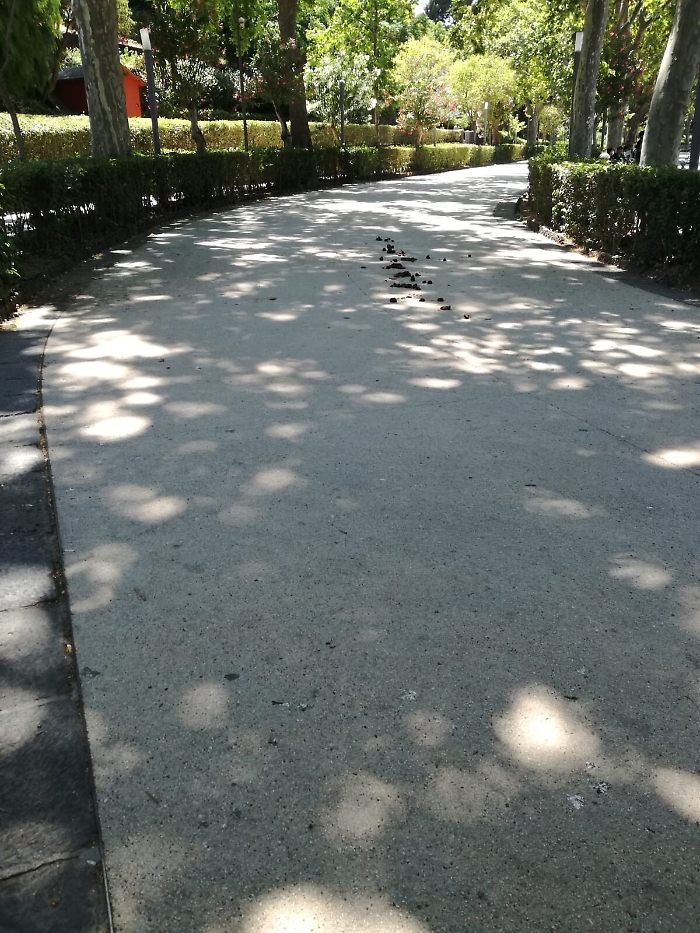 1623168153993_1623664244736