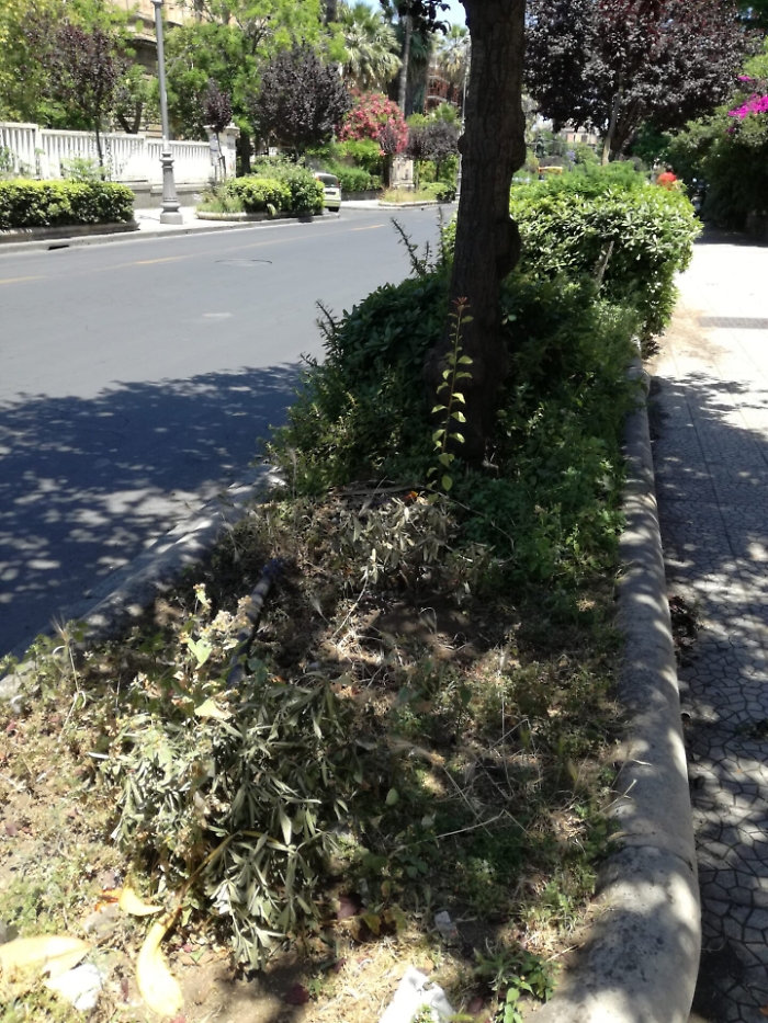 1623515567598_1623665536127