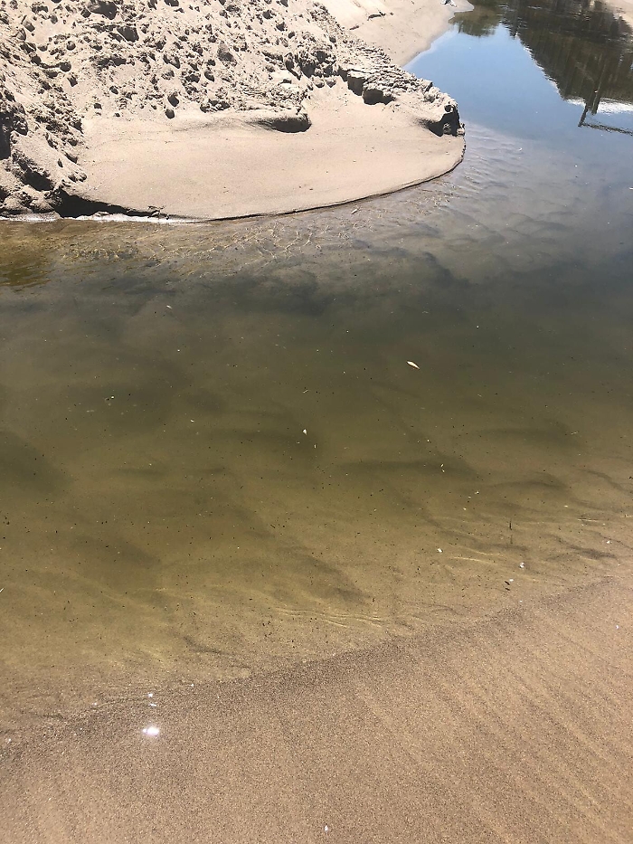 151237667-c40d86ab-42dd-4d4c-92fc-6d739c3c8ca2