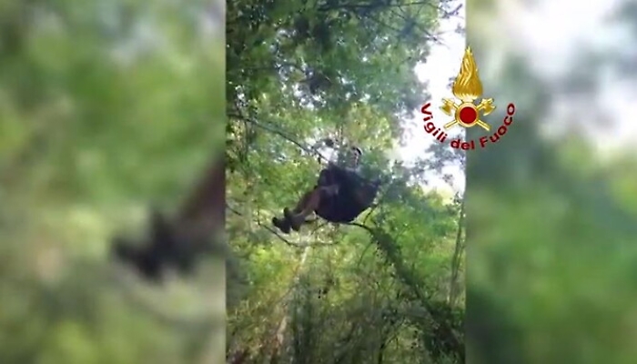 185057798-0ff6a2a9-c161-44a4-8bb1-4ff1b25528aa