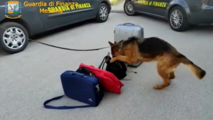 052746251-68fed0bc-1eb5-4bef-b338-dac4f499821e