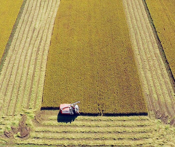 Aree rurali e aziende agricole, pubblicate le graduatorie provvisorie: 65 milioni per la viabilit&agrave; rurale in Sicilia