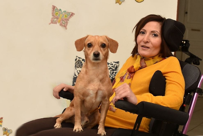 072253425-dc4c242e-a987-429d-a4e5-beac8f120c00