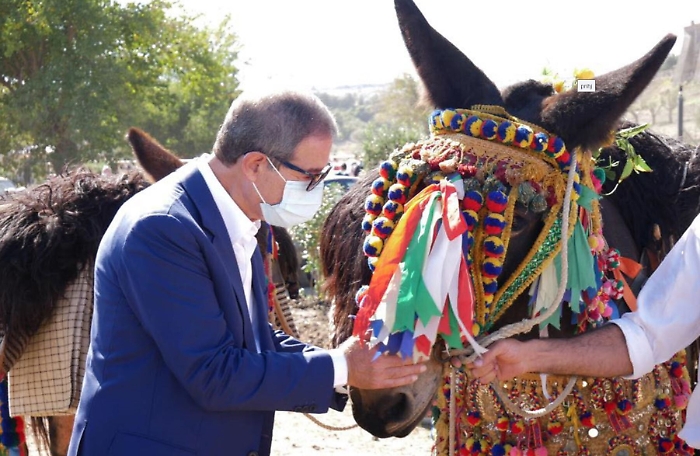 124612639-6ea1e9c7-0ba7-48eb-8ba0-c44d865352ad