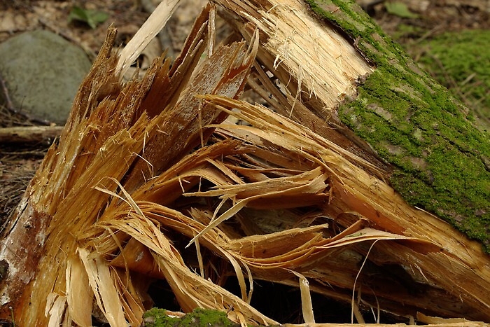 174010638-3d76fed3-5910-4cd1-a912-305d9754890e