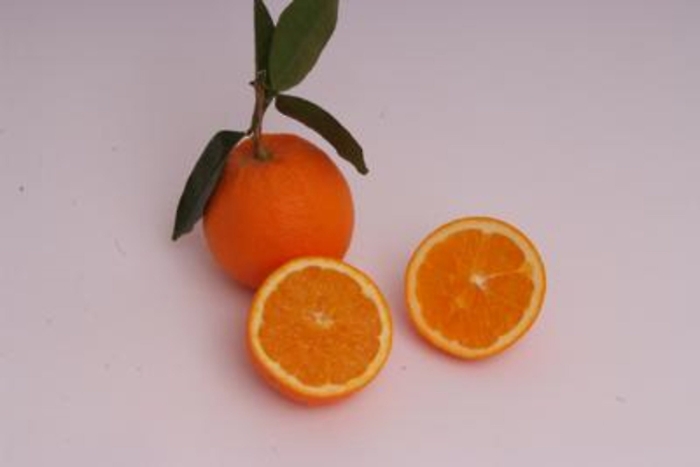 ADN20210624122418_1624530923755