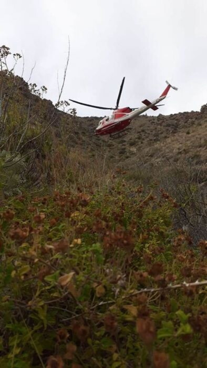 151844908-8ef3c061-0a3f-4b0e-829f-3b3b7feffbc6