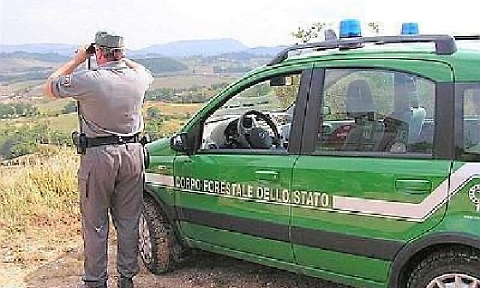 141613747-7edb2fb3-5622-4945-811f-26343f09fb24