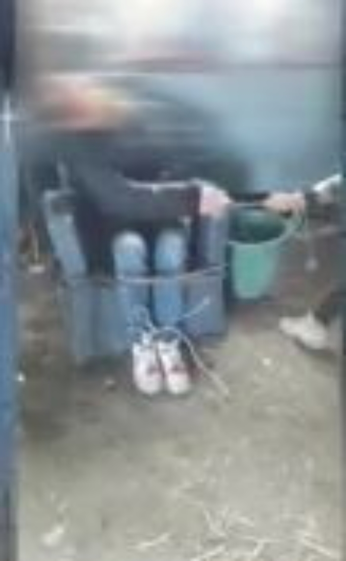 104234466-7e53f6d7-de6d-41f3-9139-c32955d8c04c