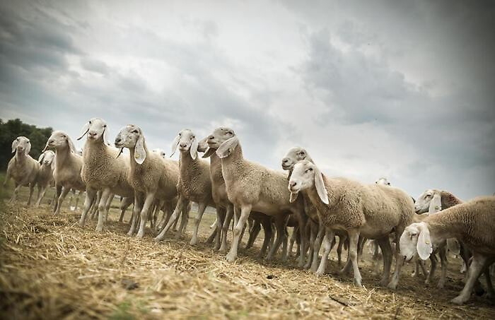 QUI_EUROPA_2021-06-28_128198550_1624887350628