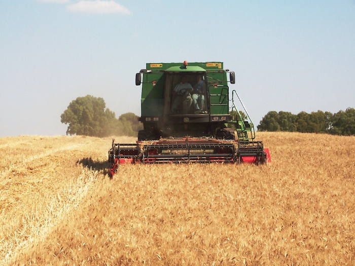 180445825-500c19da-7e00-43dd-a1d8-464c3863836a