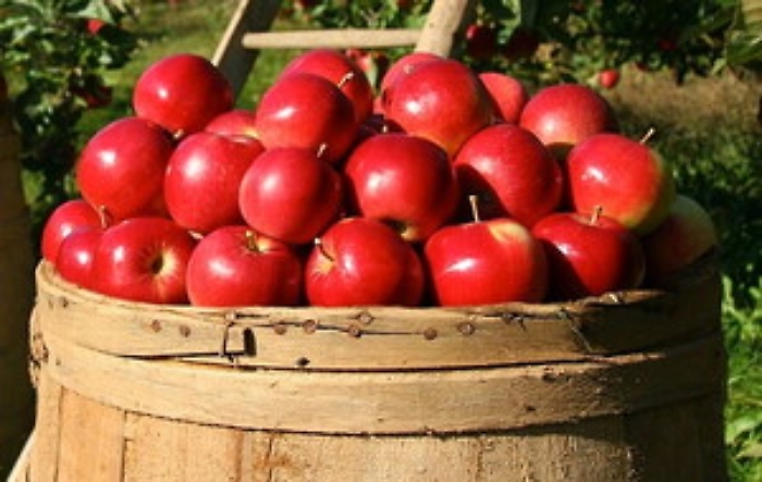 Italpress_29062021_0027_1624990058876