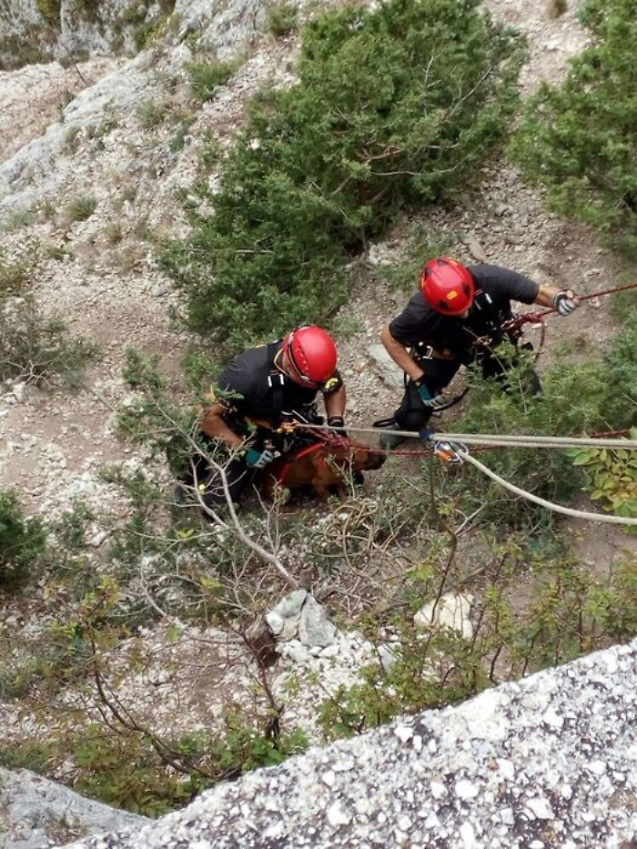 170407912-adf52451-05c1-4c7c-9d98-b38b9e85e36d