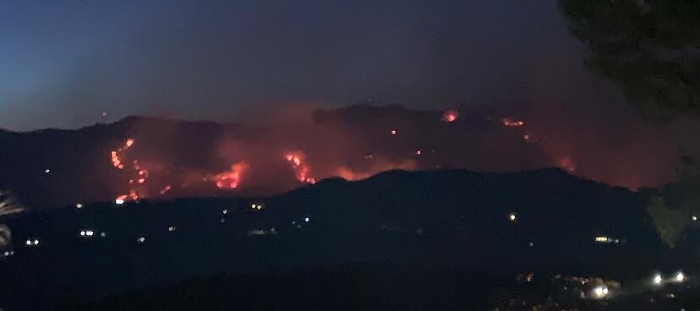 125209865-42af8da2-2a76-414f-a4b5-dcfd9a7098c8